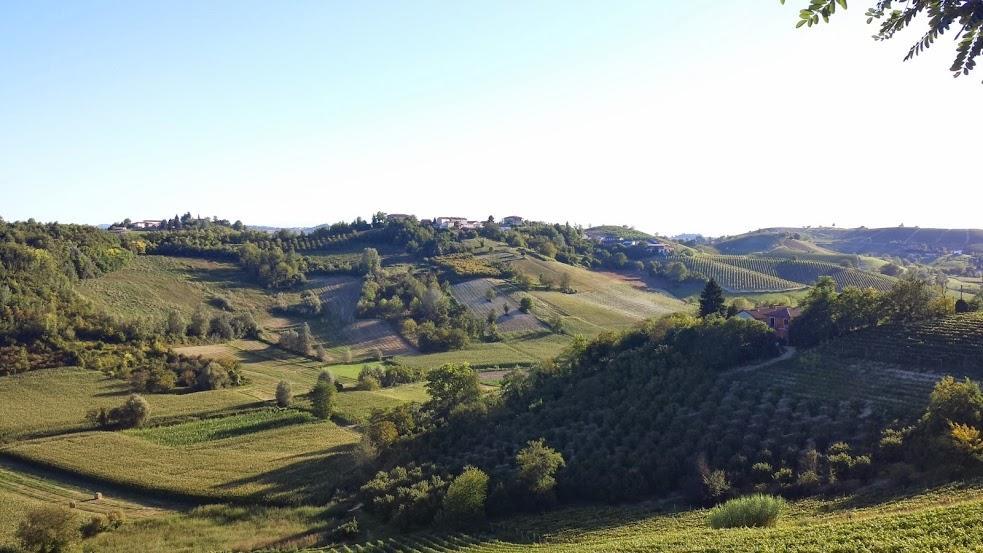 Alta Villa The Countryhouse Adults Only Boutique Bnb Vigliano d'Asti Екстер'єр фото